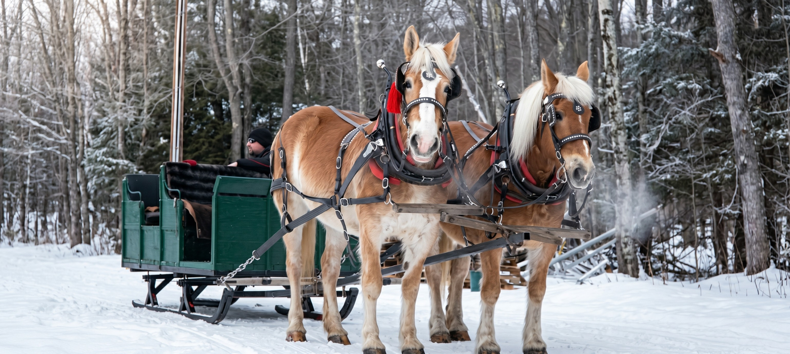 Winter Carnival