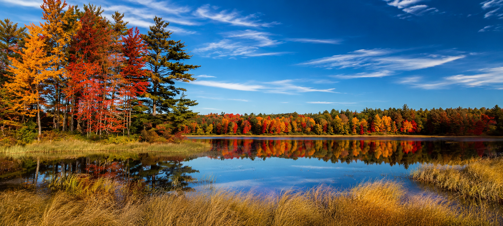 tranquil lake